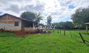 Imagem 6: Chácara à venda, Linha Cotiporã em São Miguel do Iguaçu - PR