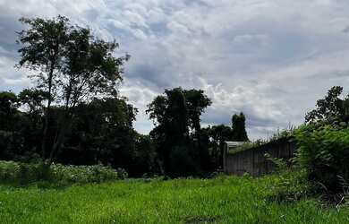 Imagem 7: Terreno à venda no Jardim Panorama, 6.734, 36m2 por R R 4.500.000,00