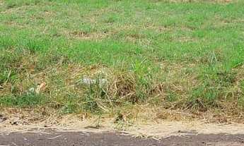 Imagem: Terreno à venda no Jardim Ipê, 368,96m2