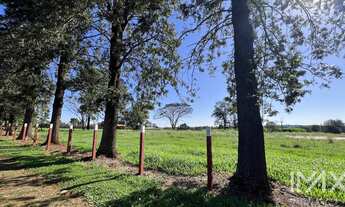 Imagem: Chácara à venda no Arroio Dourado, 32.046,00m2