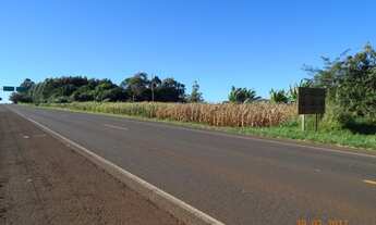 Imagem 3: SITIO A VENDA ENCOSTADO NA CIDADE DE AMPÉRE COM AREA TOTAL DE 86.869,00 M