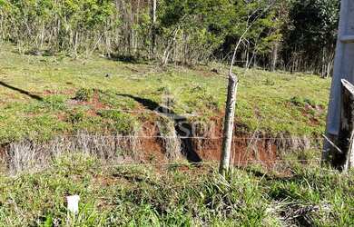 Imagem 7: Chácara à venda, SÃO SALVADOR, CASCAVEL - PR, todas asfaltada, luz trifasica