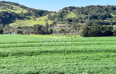 Imagem 4: Chácara à venda, SÃO SALVADOR, CASCAVEL - PR, todas asfaltada, luz trifasica
