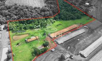 Imagem 2: ÁREA RURAL COM ACESSO PELA BR 467 SENTIDO CASCAVEL X TOLEDO COM 4.2008HA