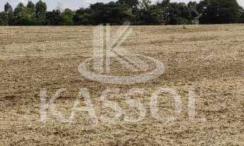 Imagem 2: Rural à venda,24.20 m , ZONA RURAL, CEU AZUL - PR um alqueire mecanizado
