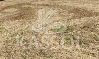 Imagem: Rural à venda,24.20 m, ZONA RURAL, CEU