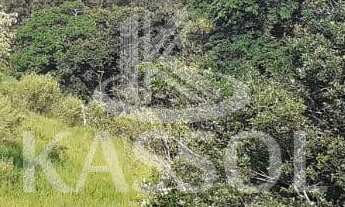 Imagem: Chácara em São Salvador, com documentação