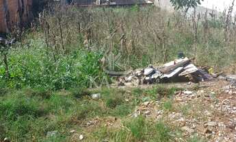 Imagem: Terreno à venda,250.00 m, FLORESTA, CASCAVEL
