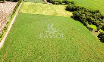 Imagem: Chácara rural de 5 alqueires localizada