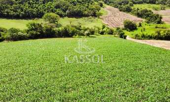 Imagem 7: Chácara rural de 5 alqueires localizada no município de Santa Tereza do Oeste
