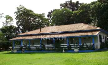 Imagem: Sítio na Colônia Barreiro - 1.000m do