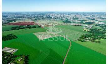 Imagem 7: LOTEAMENTO BELLA VITA, PRÓXIMO AO CEASA E ATACADO PORTI