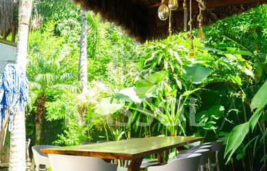 Imagem 6: Casa ampla e sofisticada, cercada por natureza no Centro de Cascavel