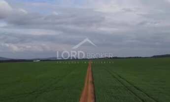 Imagem 6: Fazenda à venda localizada dentro de Porto Nacional, Tocantins