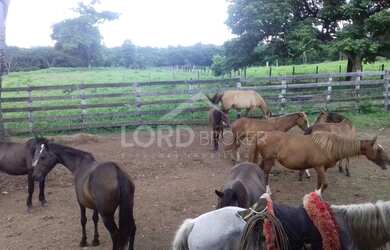 Imagem 4: Fazenda à venda de 1952 hectares no Município de Poconé em Mato-Grosso