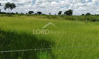 Imagem 3: Fazenda à venda em Cangas, 80km de Cuiabá, em Mato Grosso