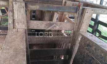 Imagem 5: Fazenda à venda em Cangas, 80km de Cuiabá, em Mato Grosso