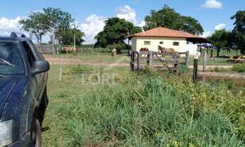 Imagem 7: Fazenda à venda em Cangas, 80km de Cuiabá, em Mato Grosso