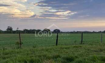 Imagem 2: Fazenda à venda na região do Olho D agua, com 7720 hectares, 80Km de Cuiabá-MT