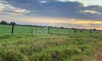Imagem 4: Fazenda à venda na região do Olho D agua, com 7720 hectares, 80Km de Cuiabá-MT
