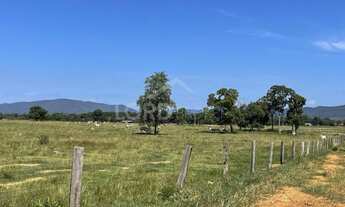 Imagem 6: Fazenda à venda a 160 km de Cuiabá, situada no município Cáceres - MT