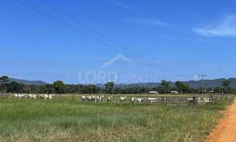 Imagem 7: Fazenda à venda a 160 km de Cuiabá, situada no município Cáceres - MT