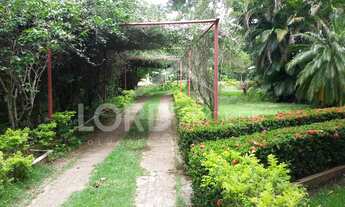 Imagem: Chácara a venda próxima a região do Sucuri