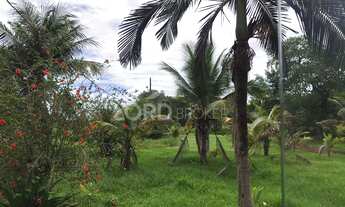 Imagem 4: Fazenda à venda com 93ha localizada a 2km de Santo Antônio do Leverger em MT