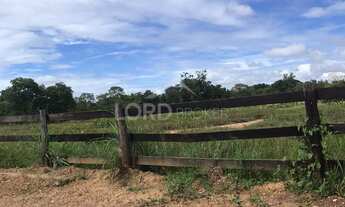 Imagem 3: Fazenda à venda com 93ha localizada a 2km de Santo Antônio do Leverger em MT