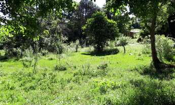 Imagem 6: Imóvel rural à venda, Passo Liso, LARANJEIRAS DO SUL - PR
