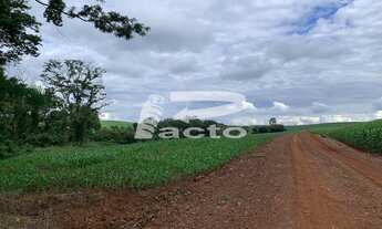 Imagem: CHACARA COM AREA DE 121.000 METROS QUADRADOS