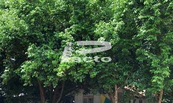 Imagem 6: TERRENO COM AREA DE 450m