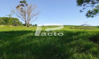 Imagem 5: TERRENO COM AREA DE 555M