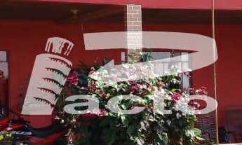 Imagem: CHACARA COM AREA TOTAL DE 3,5 ALQUEIRES