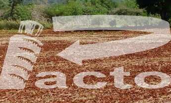 Imagem 3: CHACARA COM AREA TOTAL DE 3,5 ALQUEIRES