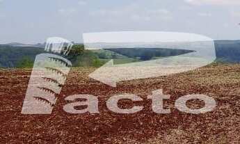 Imagem 4: CHACARA COM AREA TOTAL DE 3,5 ALQUEIRES