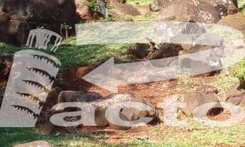 Imagem 7: CHACARA COM AREA TOTAL DE 3,5 ALQUEIRES