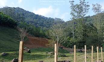 Imagem 4: TERRENO, Testo Alto, Pomerode - SC