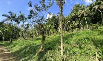 Imagem 3: TERRENO - Testo Central, Pomerode - SC