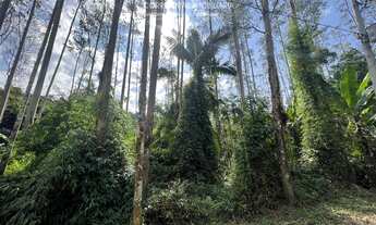 Imagem 4: TERRENO - Testo Central, Pomerode - SC