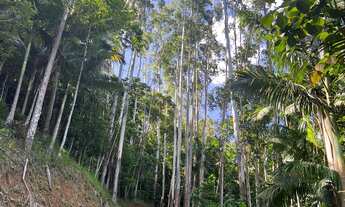 Imagem 2: TERRENO - Pomerode Fundos, Pomerode - SC