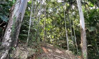 Imagem 6: TERRENO - Pomerode Fundos, Pomerode - SC