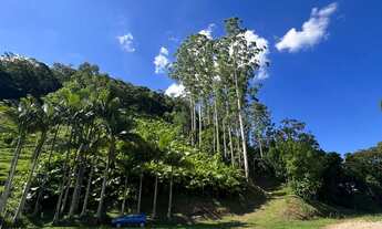 Imagem: TERRENO - Pomerode Fundos, Pomerode - SC