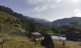 Imagem: TERRENO - Centro - Pomerode - SC