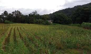 Imagem: Terreno à venda, TESTO REGA, POMERODE