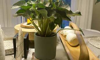 Imagem 7: APARTAMENTO, Centro - Pomerode SC