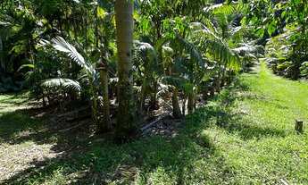 Imagem 2: TERRENO, Testo Rega, Pomerode - SC