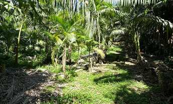 Imagem 3: TERRENO, Testo Rega, Pomerode - SC