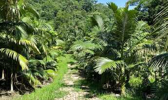 Imagem 4: TERRENO, Testo Rega, Pomerode - SC