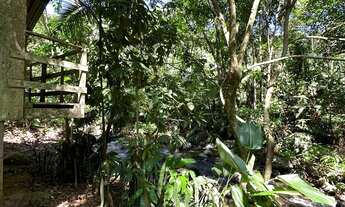 Imagem 5: TERRENO, Testo Rega, Pomerode - SC